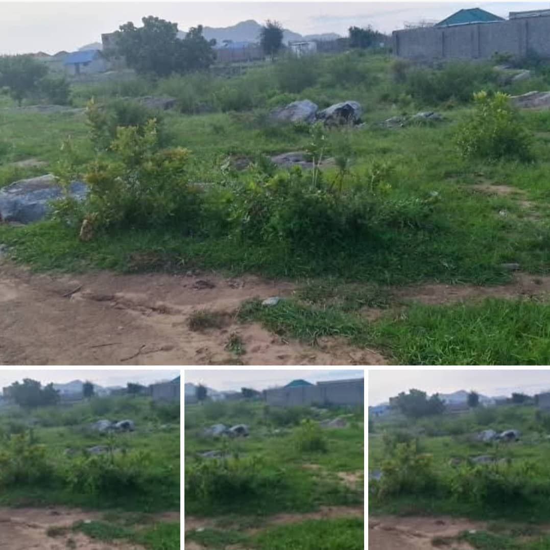 Property main
